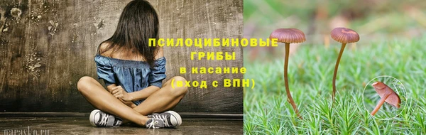 а пвп мука Арсеньев